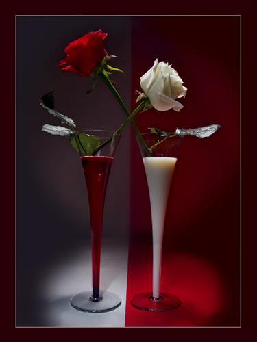 mohsamera&nbsp;sieedi